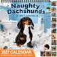 📢📢50 % DE RÉDUCTION !! ⏰  Calendrier mural 2027 de teckels espiègles – 12 mois de malice, de pagaille et de sourires 🐾