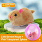 🐱 50% DE RÉDUCTION 🥳 Balle interactive auto-roulante pour chat – Mouvement aléatoire & LED intégrée – Stimule l’instinct de chasse, idéale pour jouer seul ou à plusieurs – rechargeable, résistante et amusante 🎾✨🐾