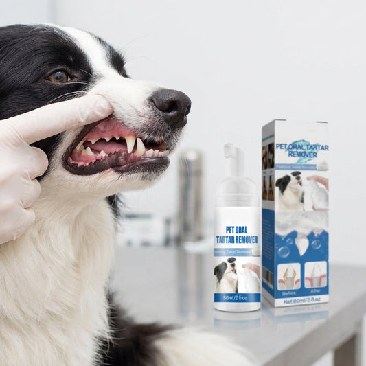 🐾🦷 OFFRE : 1 ACHETÉS, 1 OFFERT ! Mousse Dentaire Détartrante pour Animaux – Formule Végétale, Haleine Fraîche 12h, 60 ml, Bouteille 2-3