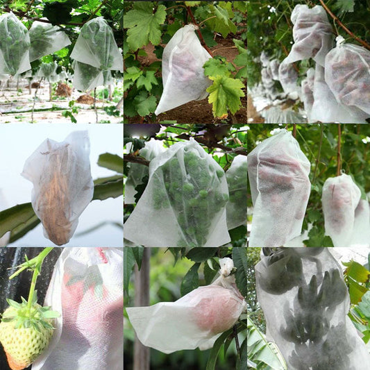 🔥50 % DE RÉDUCTION EN CE MOMENT !🔥 🔥Filets de protection pour arbres fruitiers
