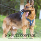 📢📢50% DE RÉDUCTION !! ⏰ Harnais Anti-Traction pour Chien avec Collier LED – Rembourrage Épais & Anneau en D Avant for des Promenades Sereines et Sécurisées ✨