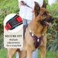 📢📢50% DE RÉDUCTION !! ⏰ Harnais Anti-Traction pour Chien avec Collier LED – Rembourrage Épais & Anneau en D Avant for des Promenades Sereines et Sécurisées ✨
