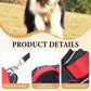 📢📢50% DE RÉDUCTION !! ⏰ Harnais Anti-Traction pour Chien avec Collier LED – Rembourrage Épais & Anneau en D Avant for des Promenades Sereines et Sécurisées ✨