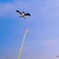 ⏳Offre limitée -50%⏰Cerf-volant Canne à Pêche pour Enfants🪁