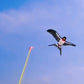⏳Offre limitée -50%⏰Cerf-volant Canne à Pêche pour Enfants🪁