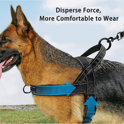 📢📢50 % DE RÉDUCTION !! ⏰ Harnais tactique ultra-résistant pour chien – Anti-traction, anti-étranglement. 🛡️✨