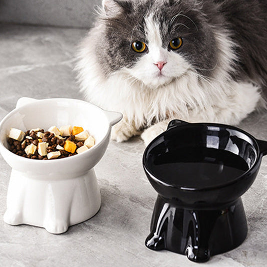 🐱Dernier jour pour l'offre spéciale ! 50 % de réduction ! 🔥Gamelle surélevée ergonomique en plastique pour chat