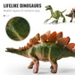 🦕PROMO FLASH 50%🦖Kit Éducatif Dinosaures 46/52/64 Pièces – Fossiles, Outils, Boîte T-Rex, Parfait pour Jeu Créatif & Découverte des Petits Paléontologues🌿