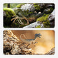 🦕PROMO FLASH 50%🦖Kit Éducatif Dinosaures 46/52/64 Pièces – Fossiles, Outils, Boîte T-Rex, Parfait pour Jeu Créatif & Découverte des Petits Paléontologues🌿