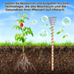 🌿 ACHETEZ 2, RECEVEZ 1 GRATUIT ! 🔥 Antenne en Cuivre d'Électroculture – Favorise la Croissance des Plantes & la Qualité du Sol – Application Simple, Durable & Durable – Idéale pour Jardin ou Agriculture 🌱✨⚡