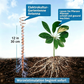🌿 ACHETEZ 2, RECEVEZ 1 GRATUIT ! 🔥 Antenne en Cuivre d'Électroculture – Favorise la Croissance des Plantes & la Qualité du Sol – Application Simple, Durable & Durable – Idéale pour Jardin ou Agriculture 🌱✨⚡