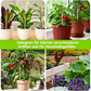 🌿 ACHETEZ 2, RECEVEZ 1 GRATUIT ! 🔥 Antenne en Cuivre d'Électroculture – Favorise la Croissance des Plantes & la Qualité du Sol – Application Simple, Durable & Durable – Idéale pour Jardin ou Agriculture 🌱✨⚡