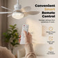 Ventilateur de plafond LED 2-en-1 avec refroidissement