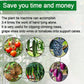 🌸🎋 PROMO FLASH 50% ! Outil de Liage de Plantes Tout-en-Un – Machine à Attacher les Branches, Acier Inoxydable, Ruban 30m Inclus, Idéal Tomates, Vignes, Rosiers 🌿