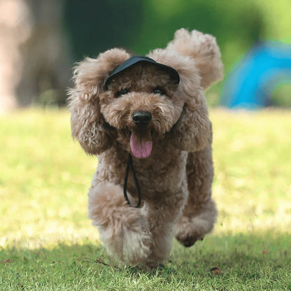 🧢 -50% MAINTENANT ! ☀️ Chapeau de Soleil pour Chien à Large Bord – Protection UV & respirant – Sangle réglable, parfait pour les promenades estivales ou les sorties à la plage – garde votre animal au frais et en sécurité 🐶🌊✨