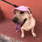 🧢 -50% MAINTENANT ! ☀️ Chapeau de Soleil pour Chien à Large Bord – Protection UV & respirant – Sangle réglable, parfait pour les promenades estivales ou les sorties à la plage – garde votre animal au frais et en sécurité 🐶🌊✨