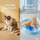 Lit d'eau gonflable rafraîchissant pour chats