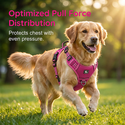 📢📢50% DE RÉDUCTION !! ⏰ Harnais Gilet Robuste pour Chien en Plein Air – Réglable, Respirant & Réfléchissant – Parfait pour Randonnée, Jogging & Quotidien ✨