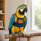 🐦🌿🛡️ -50% ! Harnais respirant pour oiseaux – Aventures extérieures en sécurité, confortable.