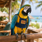 🐦🌿🛡️ -50% ! Harnais respirant pour oiseaux – Aventures extérieures en sécurité, confortable.