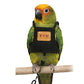 🐦🌿🛡️ -50% ! Harnais respirant pour oiseaux – Aventures extérieures en sécurité, confortable.