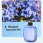 🌬️ 50 % DE RÉDUCTION EN CE MOMENT ! 🌸Diffuseur d'Aromathérapie Automatique – Silencieux, Diffusion Régulière & Ambiance Parfumée🏡