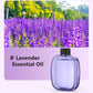 🌬️ 50 % DE RÉDUCTION EN CE MOMENT ! 🌸Diffuseur d'Aromathérapie Automatique – Silencieux, Diffusion Régulière & Ambiance Parfumée🏡