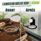 🦎🌿 Mangeoire Double Suspendue pour Reptiles – Fixation par Ventouse, Godets Amovibles et Alimentation Surélevée