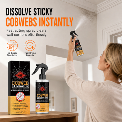Spray anti-toiles d’araignée pour murs et plafonds, nettoyage anti-poussière