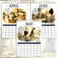 📢📢50% DE RÉDUCTION !! ⏰ Calendrier Mural 2027 – La Vie de Chat