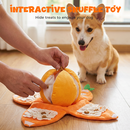 📢📢50% DE RÉDUCTION !! ⏰ Jouet en peluche orange « Hide & Seek » pour chien
