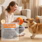 📢📢50% DE RÉDUCTION !! ⏰ Jouet en peluche orange « Hide & Seek » pour chien