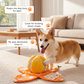 📢📢50% DE RÉDUCTION !! ⏰ Jouet en peluche orange « Hide & Seek » pour chien