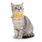 📢📢 -50 % !! ⏰ Collier réfléchissant pour chat avec traceur de localisation intelligent étanche
