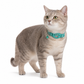 📢📢 -50 % !! ⏰ Collier réfléchissant pour chat avec traceur de localisation intelligent étanche