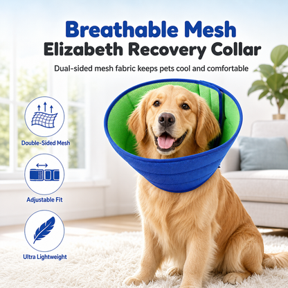 📢📢 50 % DE RÉDUCTION !! ⏰🐾 Collier de convalescence bicolore bleu et vert pour animaux de compagnie – Cône de protection anti-morsures et anti-griffures pour chiens et chats ✨